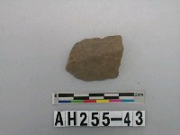 藏品(灰色泥質折肩陶片)的圖片